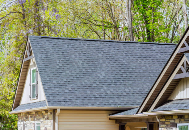 Best Slate Roofing  in Nowthen, MN