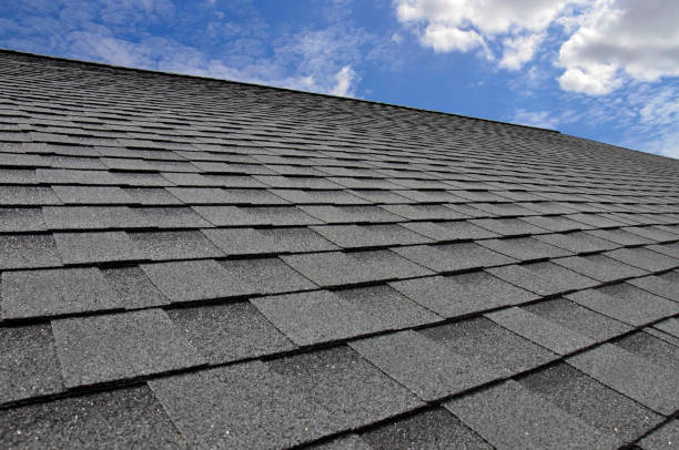 Best Commercial Roofing Services  in Nowthen, MN