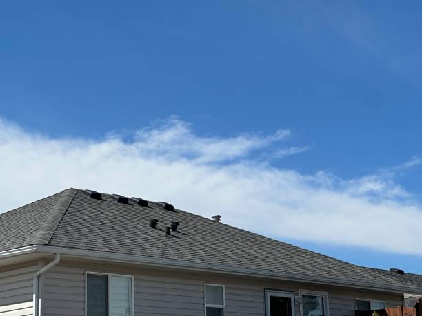 Best Roof Coating and Sealing  in Nowthen, MN